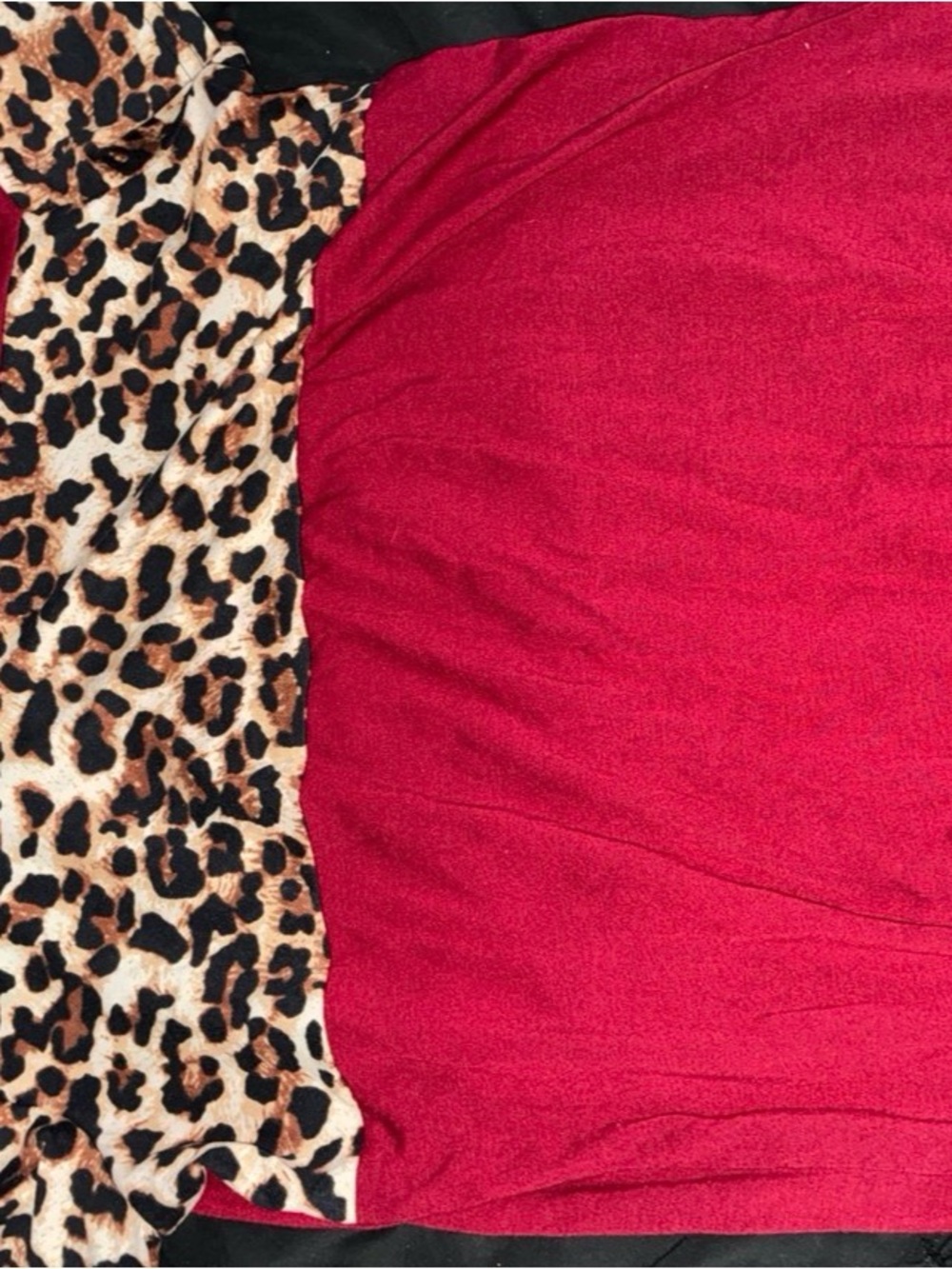 Leopard Trim and burgundy red blouse